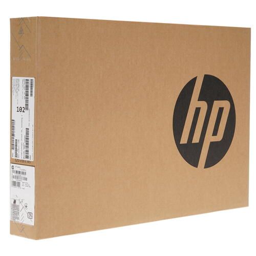 Ноутбук 17,3" HP 17-cp0087u Ryzen 3 3250U/4Gb/SSD256Gb/HD+/Win10