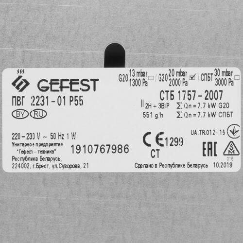 Газовая панель GEFEST ПВГ 2231-01 Р55