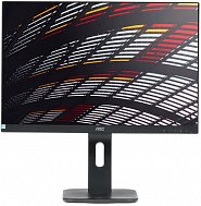 Монитор 24" AOC Professional X24P1(00/01) черный